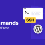 16 SSH Commands that Every WordPress User Should Know - ssh commands every user should know 1 | Useful Resources | Empowering Your Digital Journey with Expert Insights