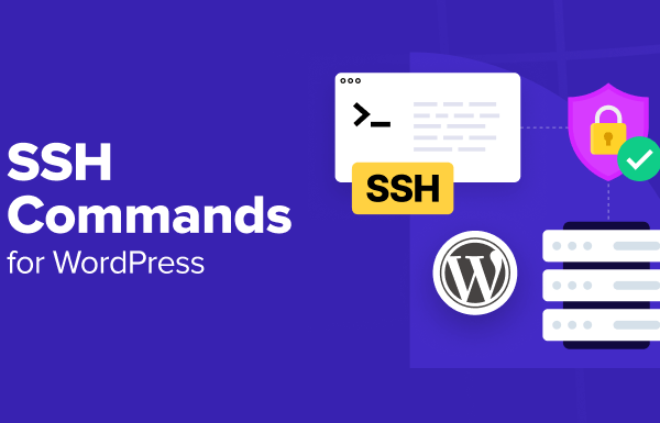 16 SSH Commands that Every WordPress User Should Know - ssh commands every user should know 1 | Useful Resources | Empowering Your Digital Journey with Expert Insights