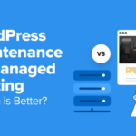 WordPress Maintenance vs Managed Hosting – Which Is Better? - wordpress maintenance vs managed hosting 1 | Useful Resources | Empowering Your Digital Journey with Expert Insights