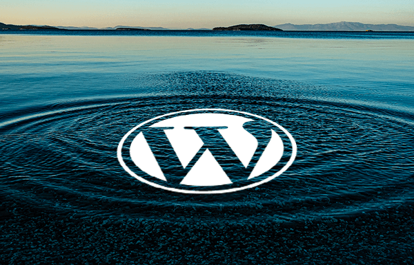 Contributing to the WordPress Ecosystem (My Thoughts) - wordpress contribution journey 1 | Useful Resources | Empowering Your Digital Journey with Expert Insights