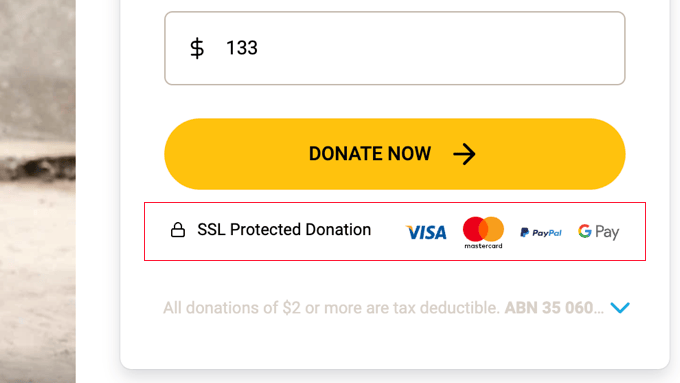 Offer Multiple Payment Options for Donations